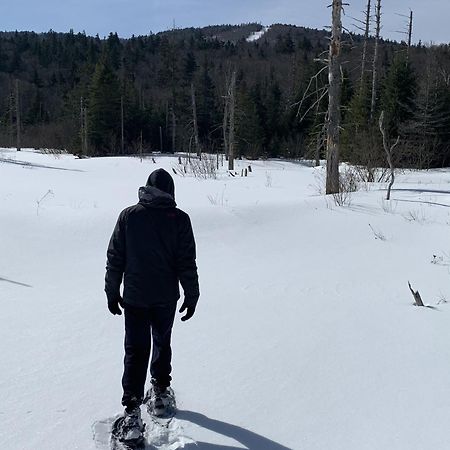 Carroll B3 New Awesome Tiny Home With Ac Mountain Views Minutes To Skiing Hiking Attractions מראה חיצוני תמונה